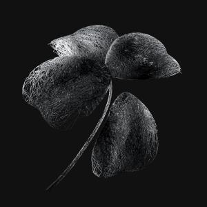 收听Oudini的Dernière chance歌词歌曲