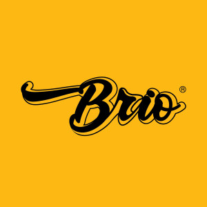 Dengarkan lagu Ga nyanyian Brio dengan lirik