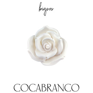收聽bigsos的COCABRANCO歌詞歌曲