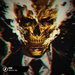 Album CASH from endcrystal