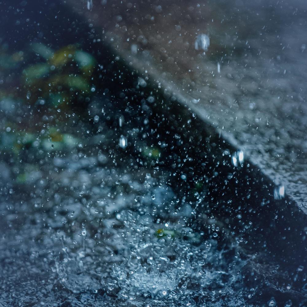 Soft Summer Rain Sound with Birds Singing for Relaxation and Stress Relief
