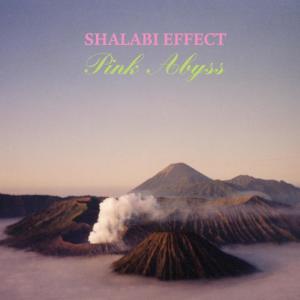 ดาวน์โหลดและฟังเพลง We'll Never Make It Out Of Here Alive พร้อมเนื้อเพลงจาก Shalabi Effect