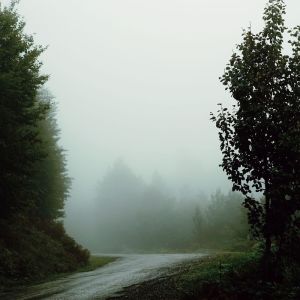 收听Rain Sounds的Determination歌词歌曲
