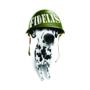 Album Fidelis from Pat Travers