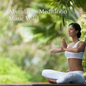 อัลบัม Binaural Beats: Abundance Meditation Music Vol. 1 ศิลปิน Meditation