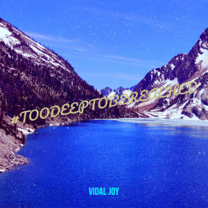 Album #Toodeeptobereached oleh Vidal Joy