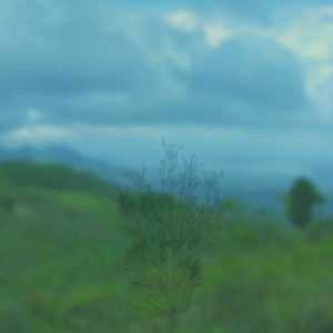ดาวน์โหลดและฟังเพลง Ajarkanku พร้อมเนื้อเพลงจาก Merges