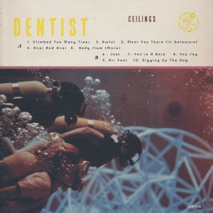 ดาวน์โหลดและฟังเพลง Joel พร้อมเนื้อเพลงจาก Dentist