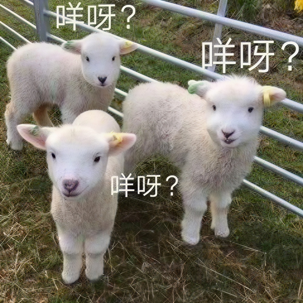 你会后悔 (DJ国会鼓)