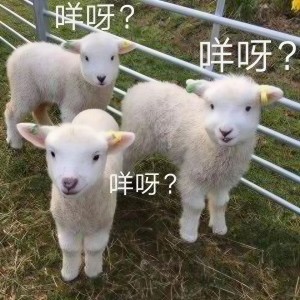 收聽唐小力的明知做戲 (DJ國會鼓)歌詞歌曲