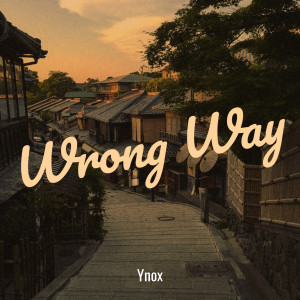 Listen to Wrong Way song with lyrics from Ynox