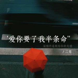 Listen to 爱你要了我半条命 (伴奏) song with lyrics from 二哥