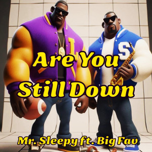 Mr. Sleepy的專輯Are You Still Down (feat. Big Fav)