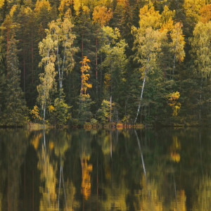 Album Serene (Piano) from Musica Rilassante Per Dormire Profondamente