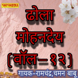 Album Dhola Mohandey Vol 12 from 