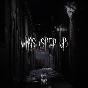 Album Wings (Sped Up) oleh Speed Sounds