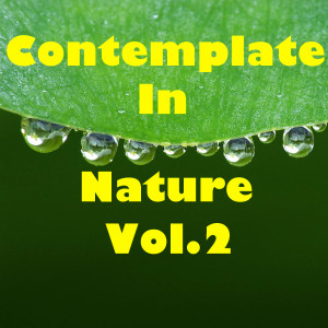 Album Contemplate In Nature, Vol.2 from Various