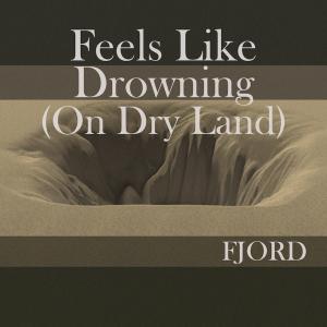 Listen to Feels Like Drowning song with lyrics from Fjord
