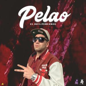 Album Pelao (feat. El Jota Perverzo ) from 