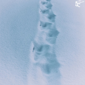 收聽Sobe的Snowy Walk歌詞歌曲