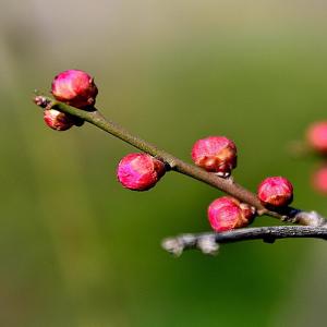 收听闵芳的莫生气歌词歌曲