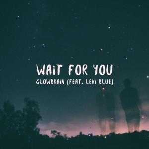 Wait for You (feat. Levi Blue)