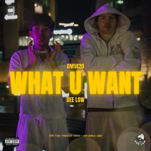 ดาวน์โหลดและฟังเพลง What U Want (Explicit) พร้อมเนื้อเพลงจาก Dee Low