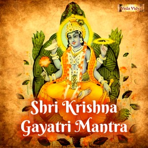 收聽Jatin的Shree Krishna Gayatri Mantra歌詞歌曲
