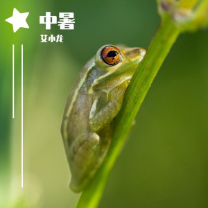 Listen to 中暑 (深爱版) song with lyrics from 艾小龙