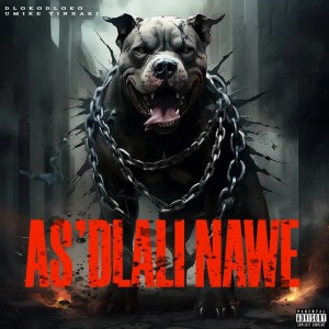 Album AS'DLALI NAWE (Explicit) from Dlokodloko
