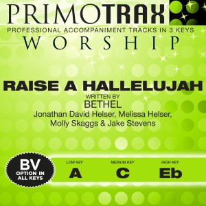 收聽Oasis Worship的Raise a Hallelujah歌詞歌曲