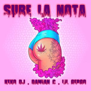 Listen to Sube la nota(feat. Keko Dj & Lil gergo) (Radio Edit|Explicit) song with lyrics from DJ Damian C