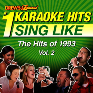 Drew's Famous #1 Karaoke Hits: Sing Like the Hits of 1993, Vol. 2