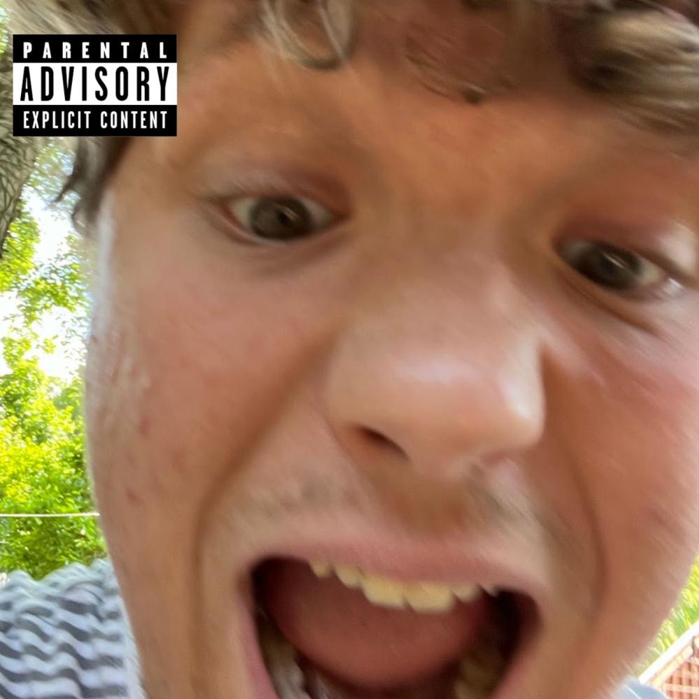 Gross (Explicit)
