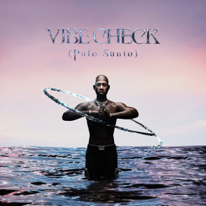 Album VIBE CHECK (Palo Santo) (Explicit) oleh Che Lingo