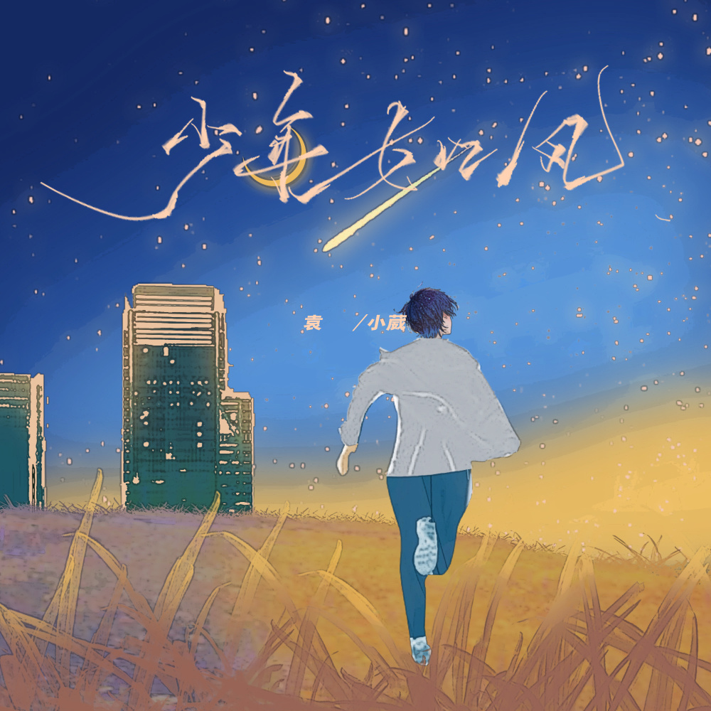 少年如风 (伴奏)