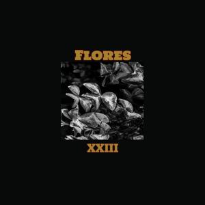 ดาวน์โหลดและฟังเพลง Flores XXIII พร้อมเนื้อเพลงจาก Mane 99