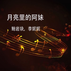 收聽鮑巖塊的月亮裏的阿妹 (DJ版)歌詞歌曲