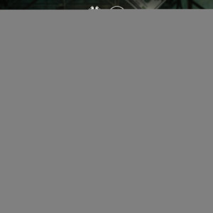 Listen to Van Hablar song with lyrics from Los Gemelos De Sinaloa