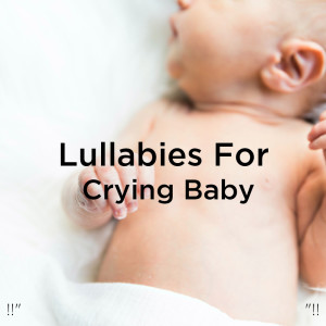收听White Noise的Mary Had A Little Lamb (Toddler Sleep)歌词歌曲