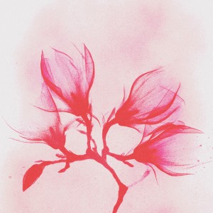 Listen to first kiss song with lyrics from T.check