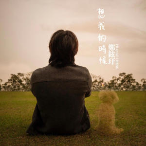收聽FRANAZ的想我的時候歌詞歌曲