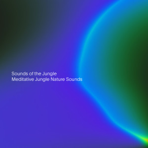 Album Meditative Jungle Nature Sounds oleh Sounds of the Jungle