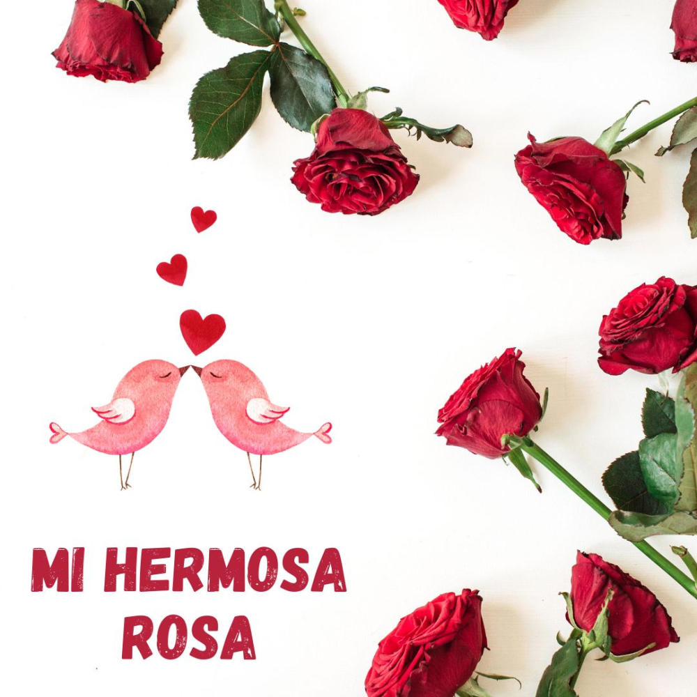 mi hermosa rosa (Explicit)