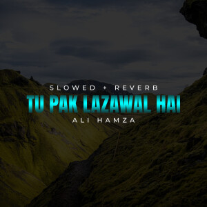 Album Tu Pak Lazawal Hai Lofi from Ali Hamza