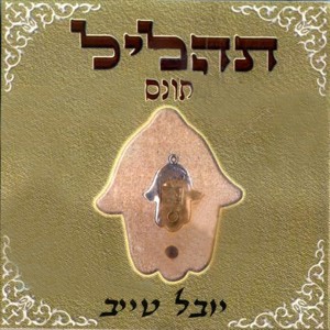 Dengarkan תהליל ליולדת lagu dari יובל טייב dengan lirik