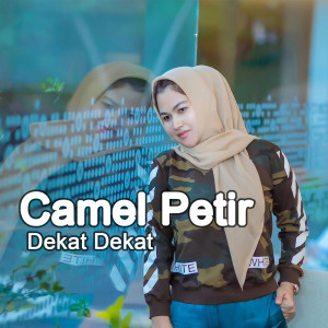 Dekat Dekat dari Camel Petir