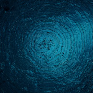 Olafur Arnalds的專輯Woven Song