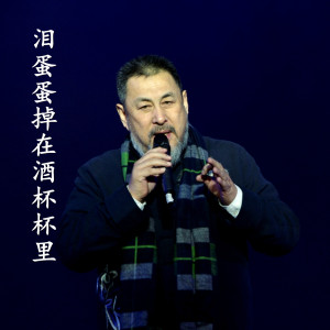 Listen to 泪蛋蛋掉在酒杯杯里 (伴奏) song with lyrics from 陆树铭