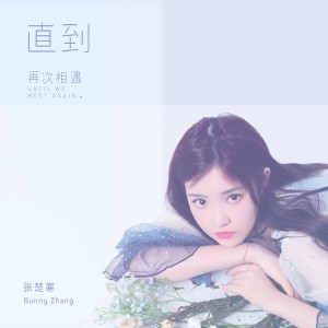 收聽張楚寒的直到再次相遇 (伴奏)歌詞歌曲